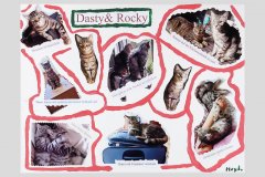 08-01_Dasty_und_Rocky