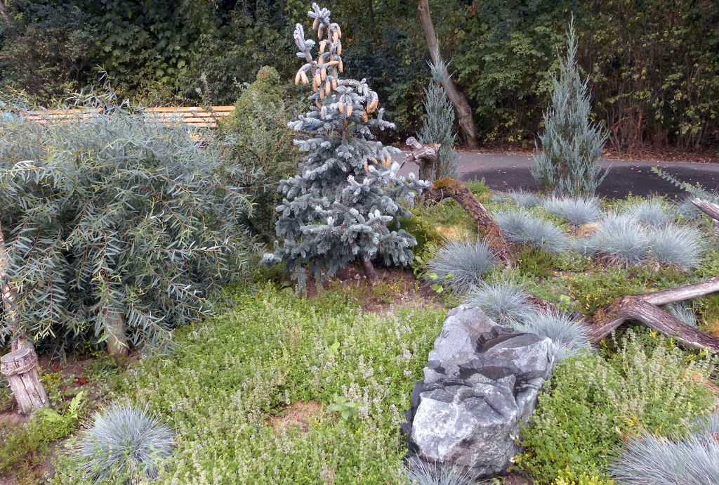 Anpflanzung am Eisbärgehege im Tierpark Berlin